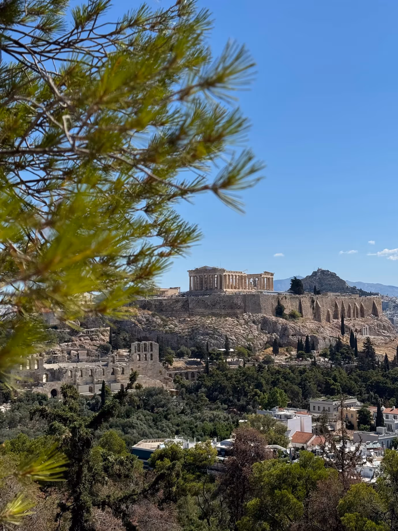 The Parthenon seen face to face through pine branches from Philopappos Hill, the best free Acropolis viewpoint in Athens